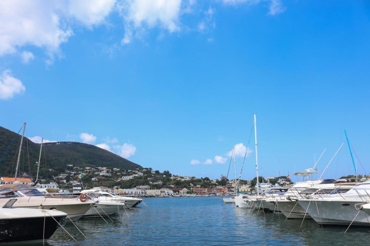 Appartamento Panoramico La Rosa Dei Venti-Libeccio Ischia Eksteriør billede